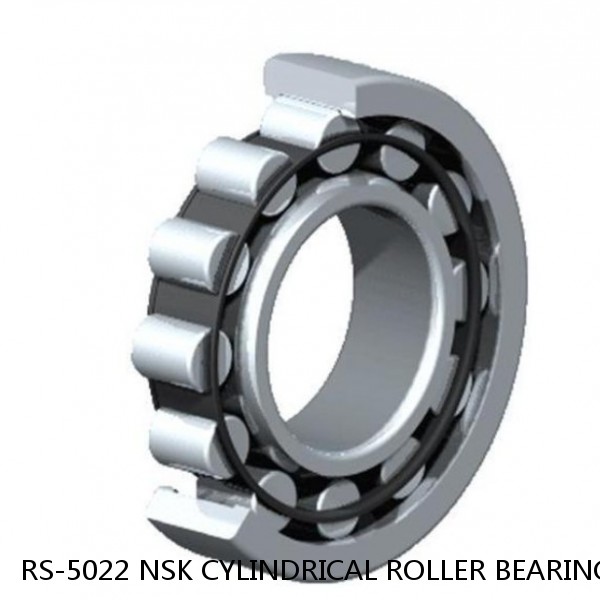 RS-5022 NSK CYLINDRICAL ROLLER BEARING