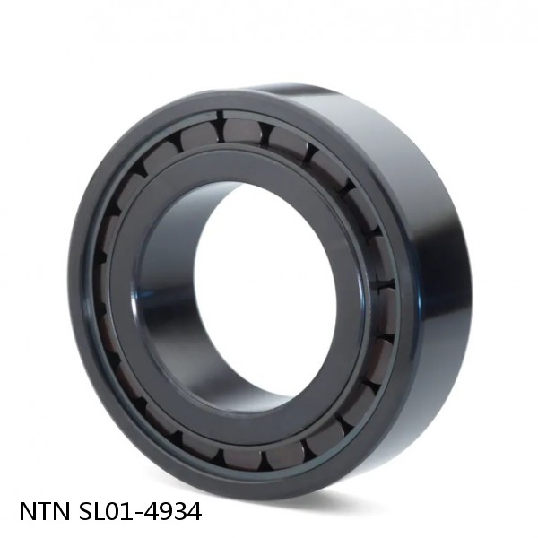 SL01-4934 NTN Cylindrical Roller Bearing