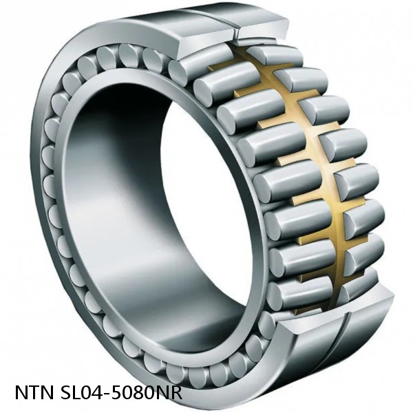 SL04-5080NR NTN Cylindrical Roller Bearing
