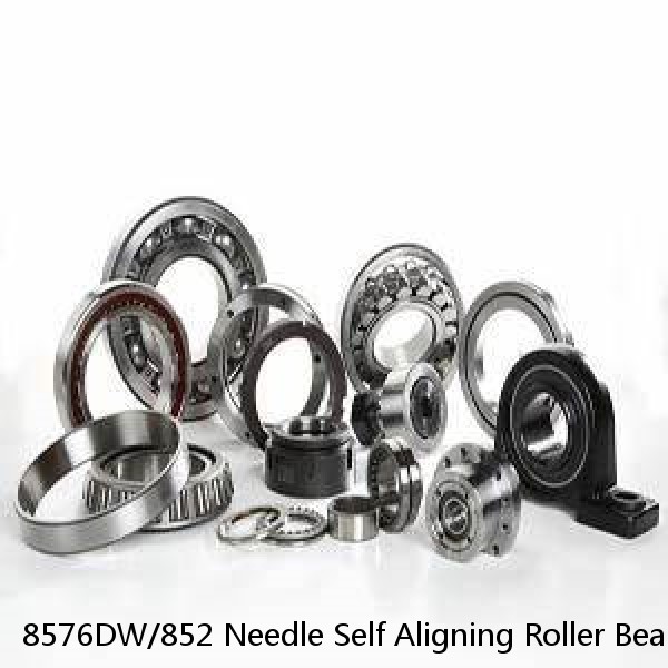 8576DW/852 Needle Self Aligning Roller Bearings