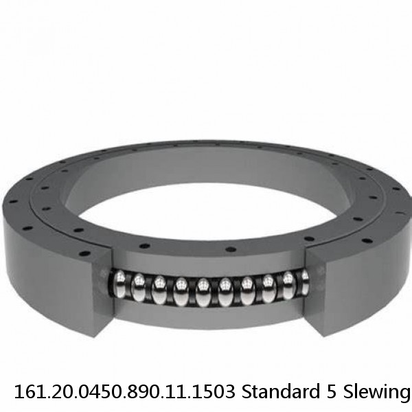 161.20.0450.890.11.1503 Standard 5 Slewing Ring Bearings