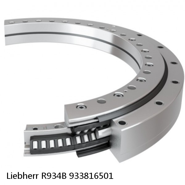 933816501 Liebherr R934B Slewing Ring