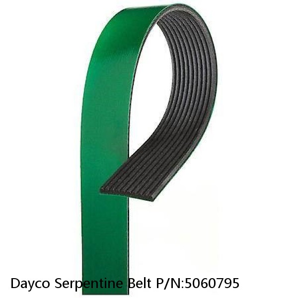 Dayco Serpentine Belt P/N:5060795