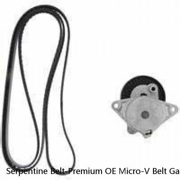 Serpentine Belt-Premium OE Micro-V Belt Gates K060795