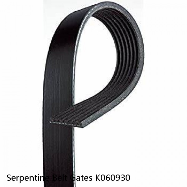 Serpentine Belt Gates K060930